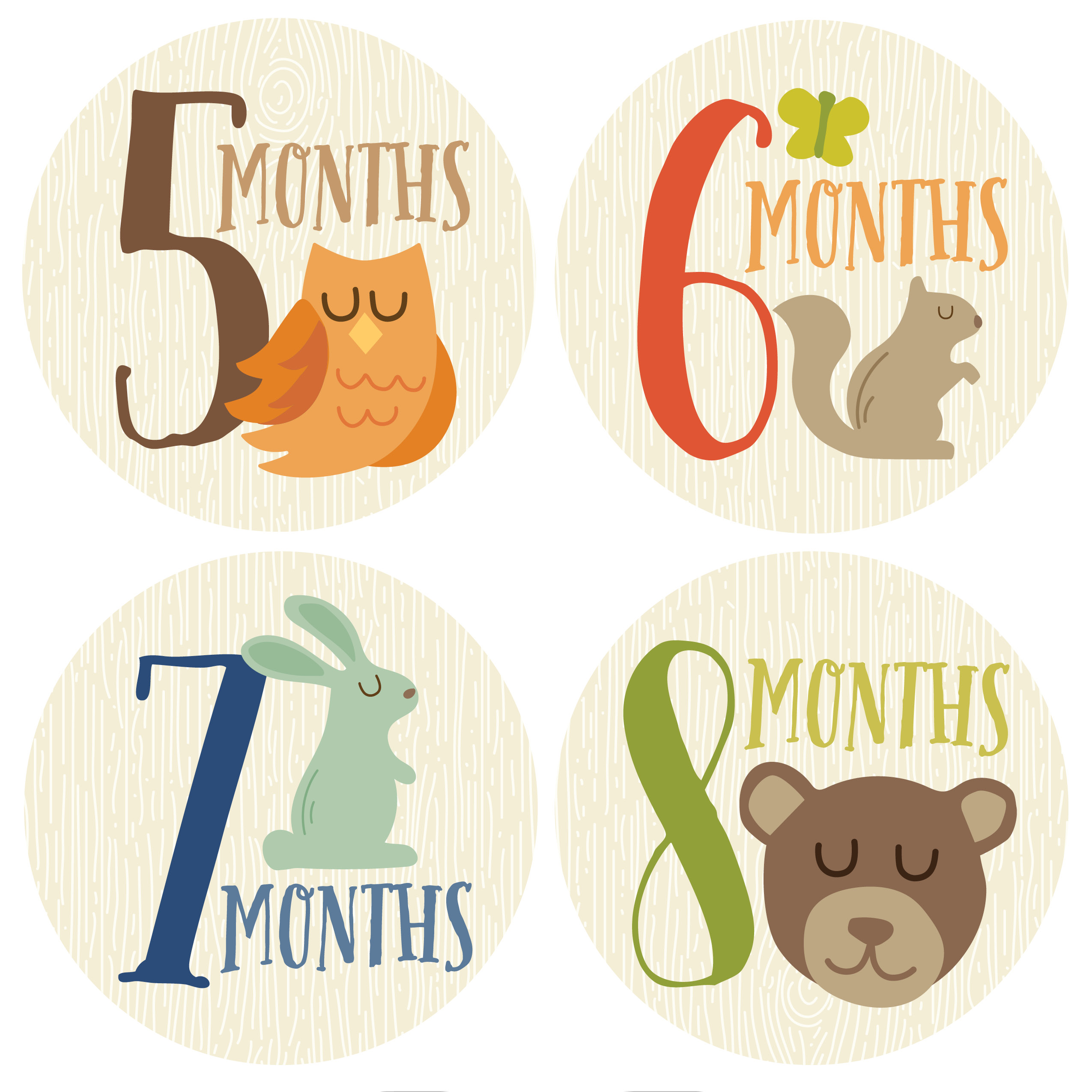 Woodland Boy Circle Monthly Baby Stickers Months 1 12